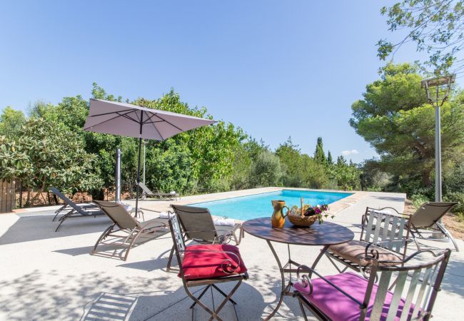 ECO finca with pool for 8 people in Petra, Mallorca. 4DBR, 5BR (4 en suite), AC, gratis Wifi-Internet, large pool, BBQ and beautiful outdoor area with stunning views
