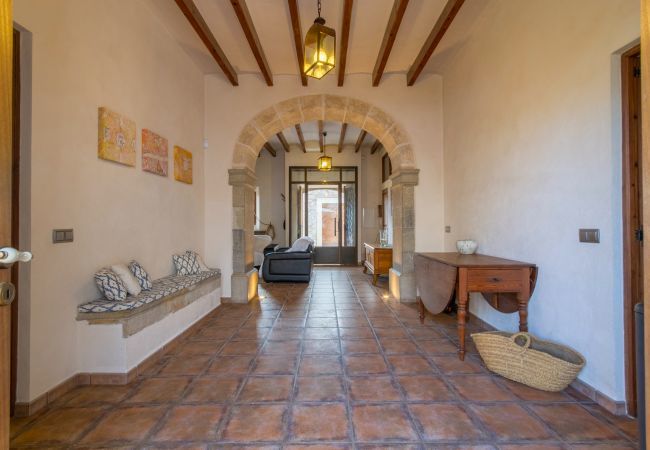 House with pool for 6 people in Binissalem, Mallorca. 3 DBR, 2 BR, 1 shower bathroom outside, AC, free wifi, fenced pool, barbecue and sun terrace.