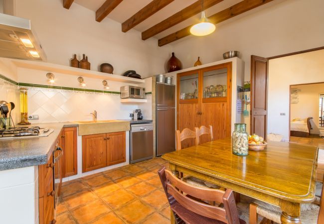 House with pool for 6 people in Binissalem, Mallorca. 3 DBR, 2 BR, 1 shower bathroom outside, AC, free wifi, fenced pool, barbecue and sun terrace.