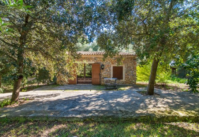 Finca with pool for 6 people + babies in Sa Pobla, Mallorca. 3 dormitorios dobles, 3 baños, AC, chimenea, Wi-Fi gratuito, piscina vallada, jardín con gran barbacoa.