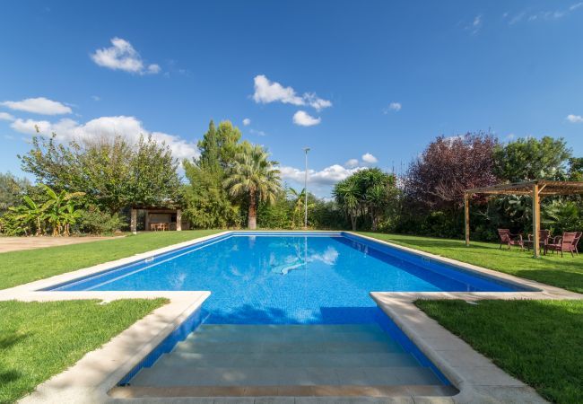 Villa in Buger - Dofi Blau, Villa 5StarsHome Mallorca