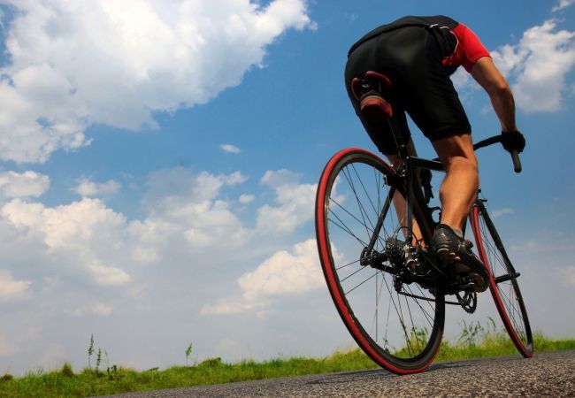 Country house in Campos - 405 Finca Sa Vinya VT 1711 by Mallorca Charme Country house in Campos - 405 Finca Sa Vinya VT 1711 by Mallorca Charme