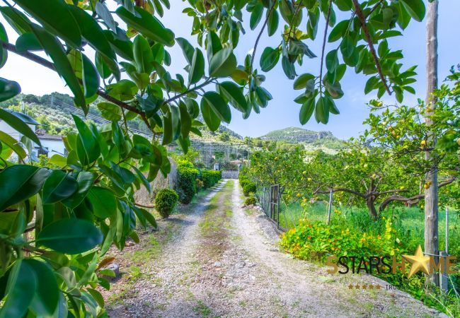 Rural house for 4/6 people in Sóller, Mallorca. 2 double bedrooms, 2 bathrooms, 1 sleeping place for 2 extra persons, free wifi, AC, garden with barbecue.
