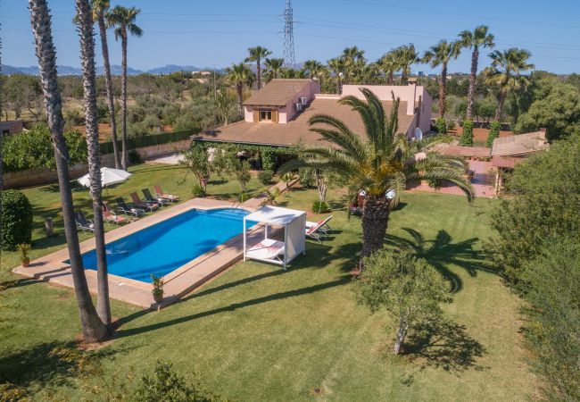 Cottage in Santa Margalida - Can Pedro de Duri, Finca 5StarsHome Mallorca Cottage in Santa Margalida - Can Pedro de Duri, Finca 5StarsHome Mallorca