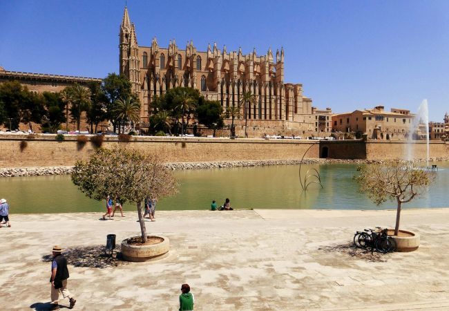 House in Palma de Mallorca - Miquel Santandreu 40, TownHouse 5StarsHome Mallorc House in Palma de Mallorca - Miquel Santandreu 40, TownHouse 5StarsHome Mallorc