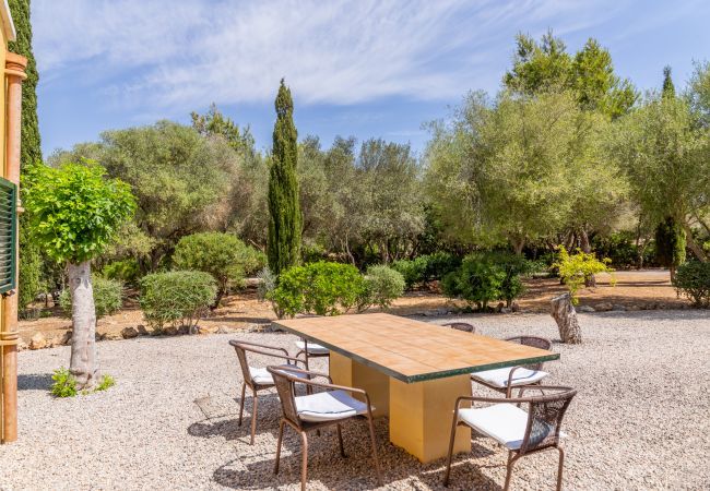Country house in Manacor - Ses Cases Son Blat, Finca 5StarsHome Mallorca Country house in Manacor - Ses Cases Son Blat, Finca 5StarsHome Mallorca