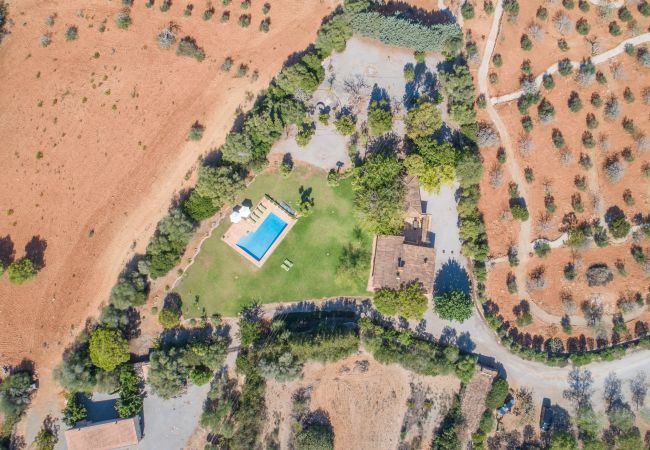 Country house in Manacor - Sestador Blat, Finca 5StarsHome Mallorca Country house in Manacor - Sestador Blat, Finca 5StarsHome Mallorca