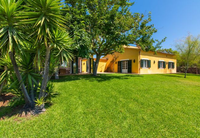 Country house in Manacor - Sestador Blat, Finca 5StarsHome Mallorca Country house in Manacor - Sestador Blat, Finca 5StarsHome Mallorca