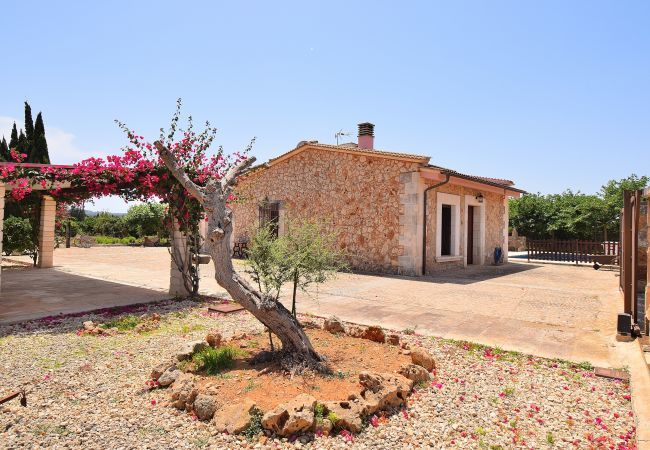 Villa in Muro - 239 Villa Biniaco ETV/4993 by Mallorca Charme Villa in Muro - 239 Villa Biniaco ETV/4993 by Mallorca Charme