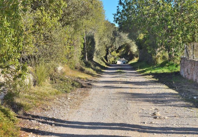 Country house in Cas Concos - 176 Villa Can Claret Gran ET/3690 by Mallorca Char Country house in Cas Concos - 176 Villa Can Claret Gran ET/3690 by Mallorca Char