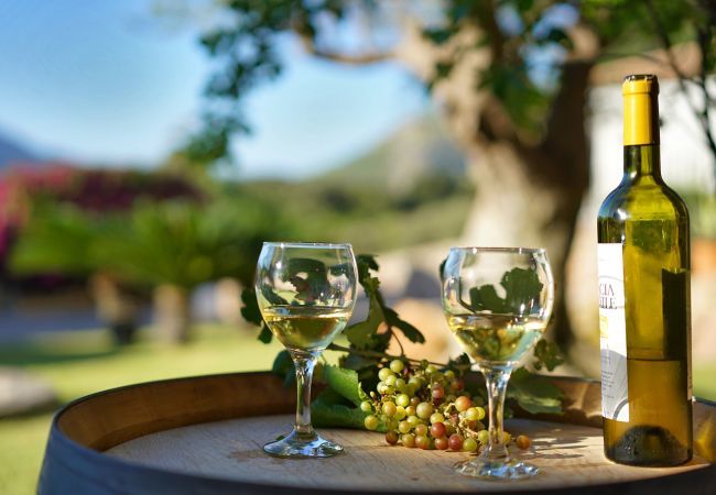 Country house in Pollensa / Pollença - Llobarro, Villa-Finca 5StarsHome Mallorca Country house in Pollensa / Pollença - Llobarro, Villa-Finca 5StarsHome Mallorca