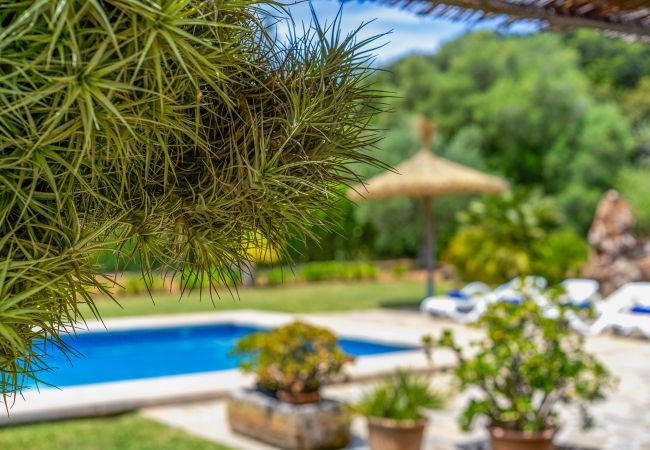 Country house in Pollensa / Pollença - Buchaca, Villa-Finca 5StarsHome Mallorca Country house in Pollensa / Pollença - Buchaca, Villa-Finca 5StarsHome Mallorca