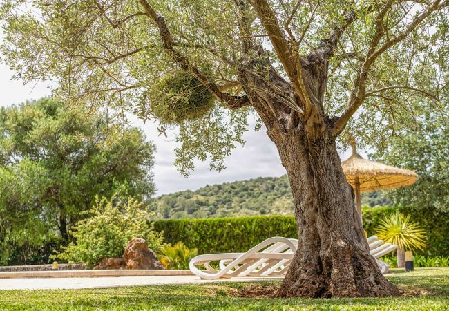 Country house in Pollensa / Pollença - Buchaca, Villa-Finca 5StarsHome Mallorca Country house in Pollensa / Pollença - Buchaca, Villa-Finca 5StarsHome Mallorca