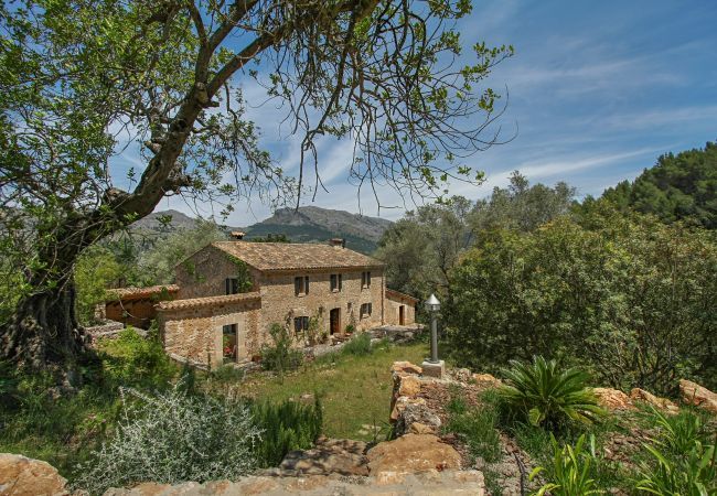 Country house in Pollensa / Pollença - Mon Mallorqui Pas Col, Finca 5StarsHome Mallorca Country house in Pollensa / Pollença - Mon Mallorqui Pas Col, Finca 5StarsHome Mallorca