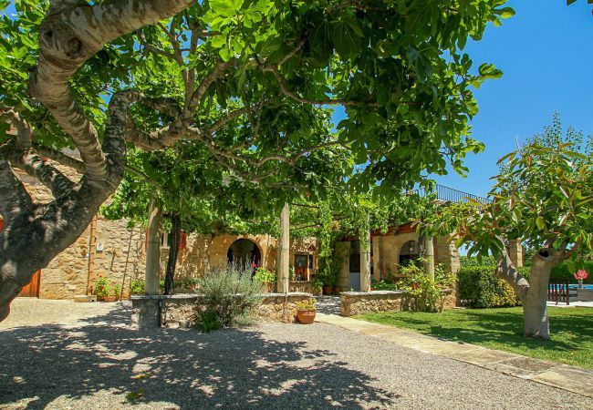 Country house in Pollensa / Pollença - Vivamont, Villa-Finca 5StarsHome Mallorca Country house in Pollensa / Pollença - Vivamont, Villa-Finca 5StarsHome Mallorca