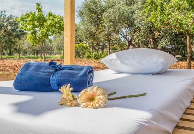 Cottage in Sa Pobla - Carroza, Finca 5StarsHome Mallorca