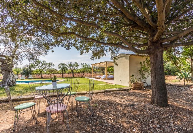 Country house in Sa Pobla - Carroza, Finca 5StarsHome Mallorca Country house in Sa Pobla - Carroza, Finca 5StarsHome Mallorca