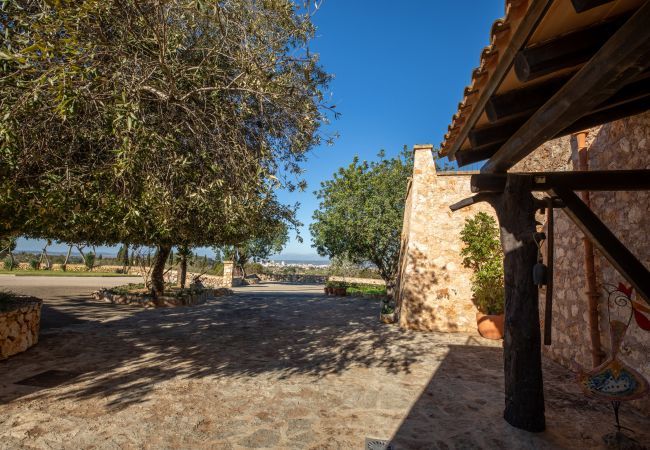 Country house in Manacor - Esturonet, Finca 5StarsHome Mallorca