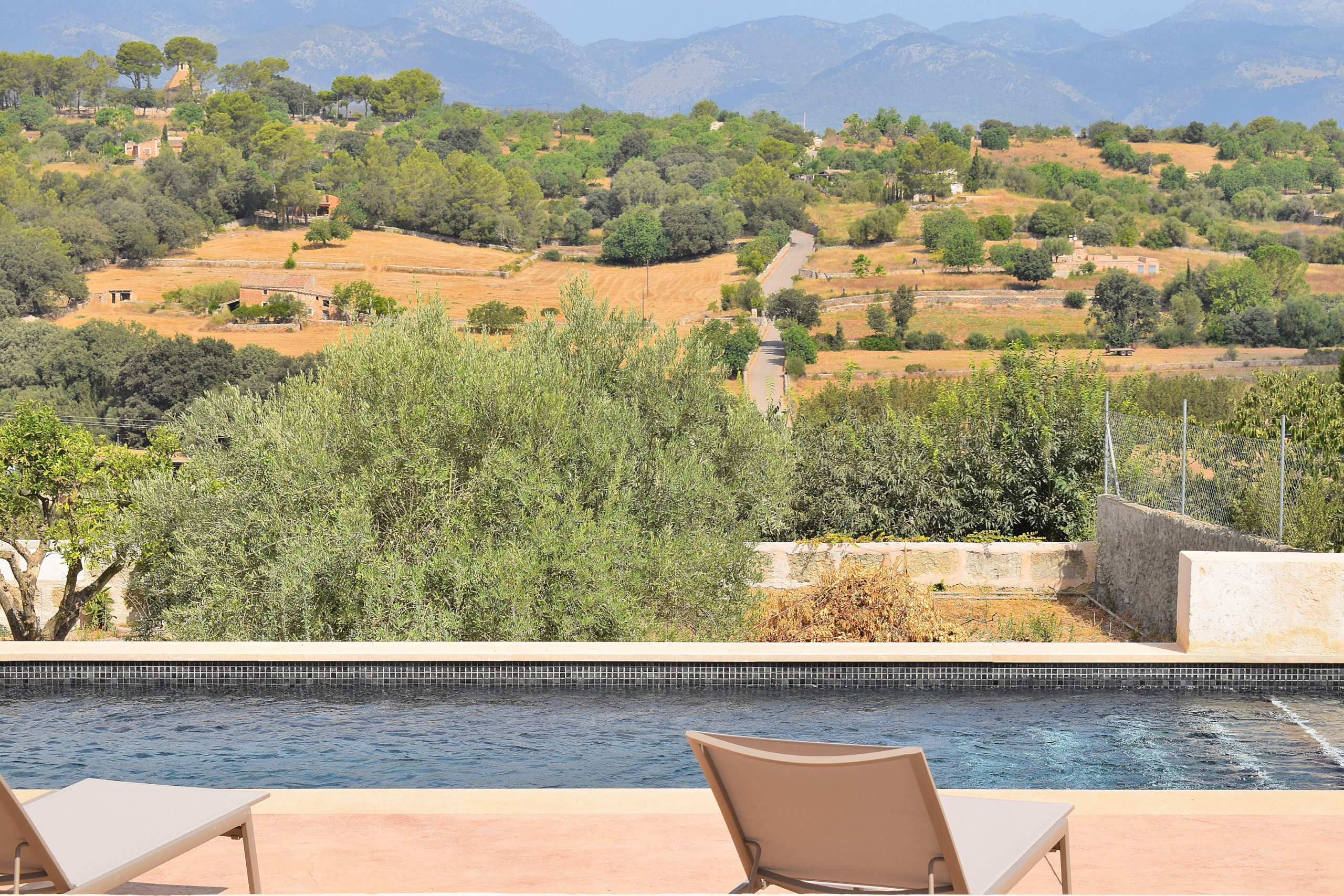 Garden, privacy, swimming pool