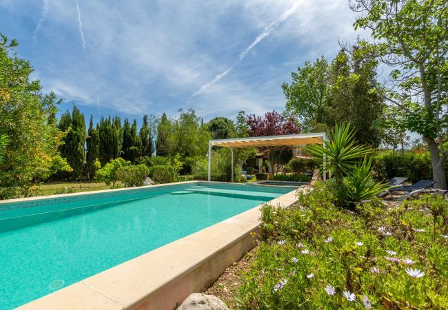 Country house in Selva - Baragreen, Finca 5StarsHome Mallorca