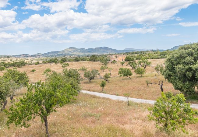 Villa in Sant Llorenç Des Cardassar - Zetrinet, Villa 5StarsHome Mallorca Villa in Sant Llorenç Des Cardassar - Zetrinet, Villa 5StarsHome Mallorca