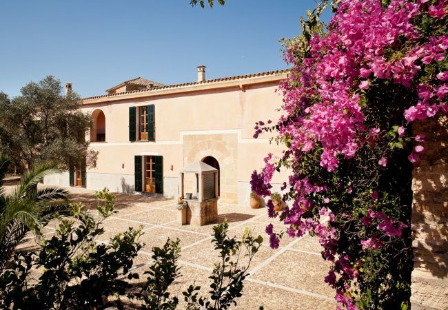 Villa in Santa Margalida - Violet Nature 8, Villa 5StarsHome Mallorca Villa in Santa Margalida - Violet Nature 8, Villa 5StarsHome Mallorca
