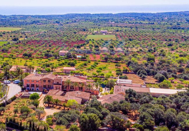 Country house in Felanitx - S'horta Rustica 12 suite,Finca 5StarsHome Mallorca Country house in Felanitx - S'horta Rustica 12 suite,Finca 5StarsHome Mallorca