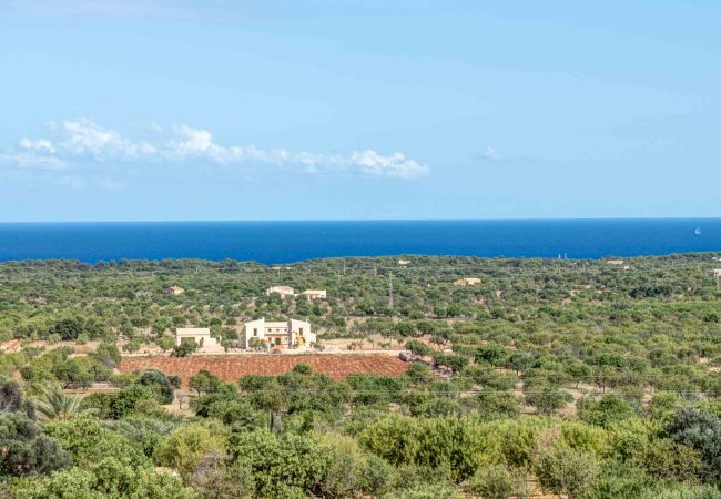 Country house in Felanitx - S'horta Rustica 22 suite,Finca 5StarsHome Mallorca Country house in Felanitx - S'horta Rustica 22 suite,Finca 5StarsHome Mallorca