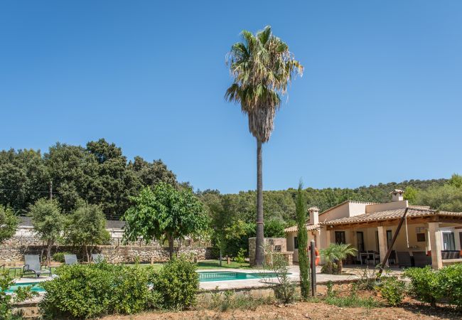 Country house in Pollensa / Pollença - Caliater, Finca 5StarsHome Mallorca Country house in Pollensa / Pollença - Caliater, Finca 5StarsHome Mallorca