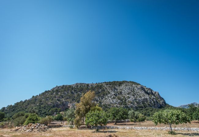 Country house in Pollensa / Pollença - Caliater, Finca 5StarsHome Mallorca Country house in Pollensa / Pollença - Caliater, Finca 5StarsHome Mallorca