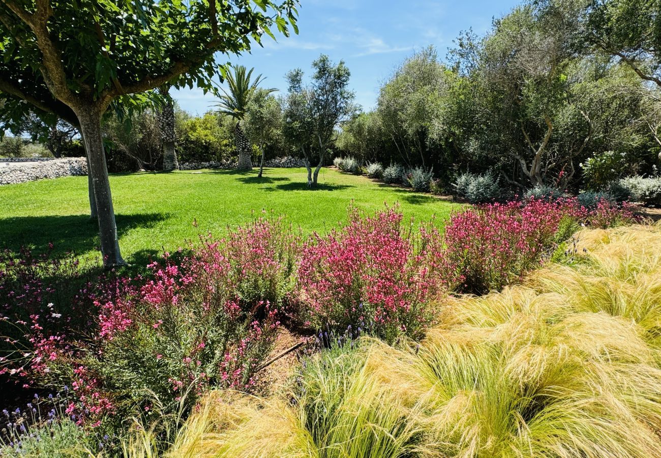 House in San Luis - Casa SABARRACA