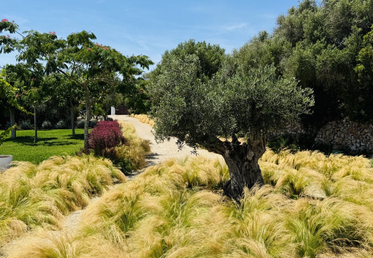 House in San Luis - Casa SABARRACA