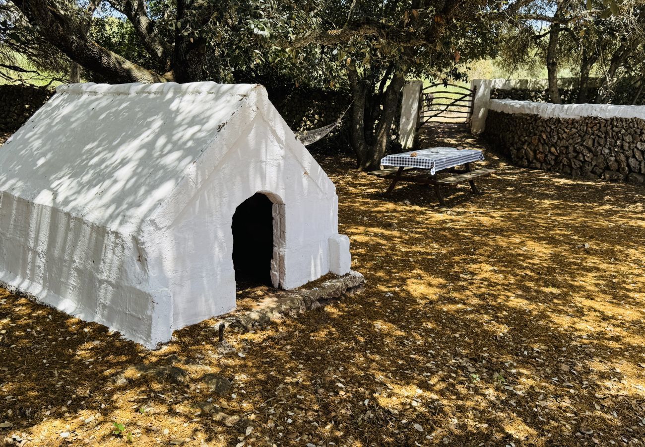 Country house in Alaior - Finca TONI