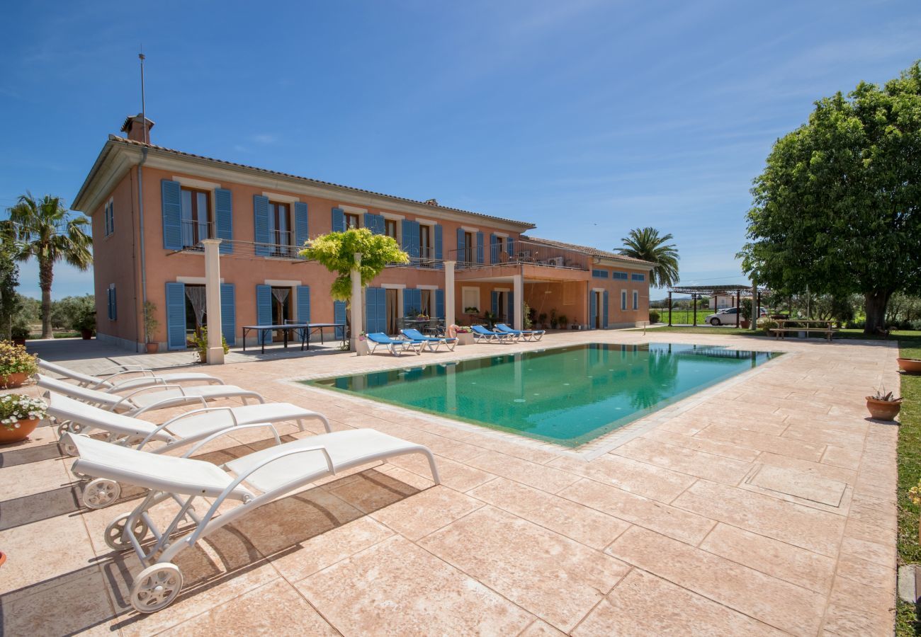 Villa with pool for 12 people in Sa Pobla, Mallorca 4 Double bedroom, 2 Single bedroom, 6 bathrooms, fitness room, pool, garden and BBQ, WIFI, view of the Tramuntana mountains