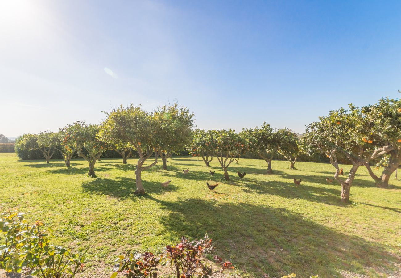 House in Santa Margalida - Es Bosquerro Can Lau, Finca 5StarsHome Mallorca House in Santa Margalida - Es Bosquerro Can Lau, Finca 5StarsHome Mallorca