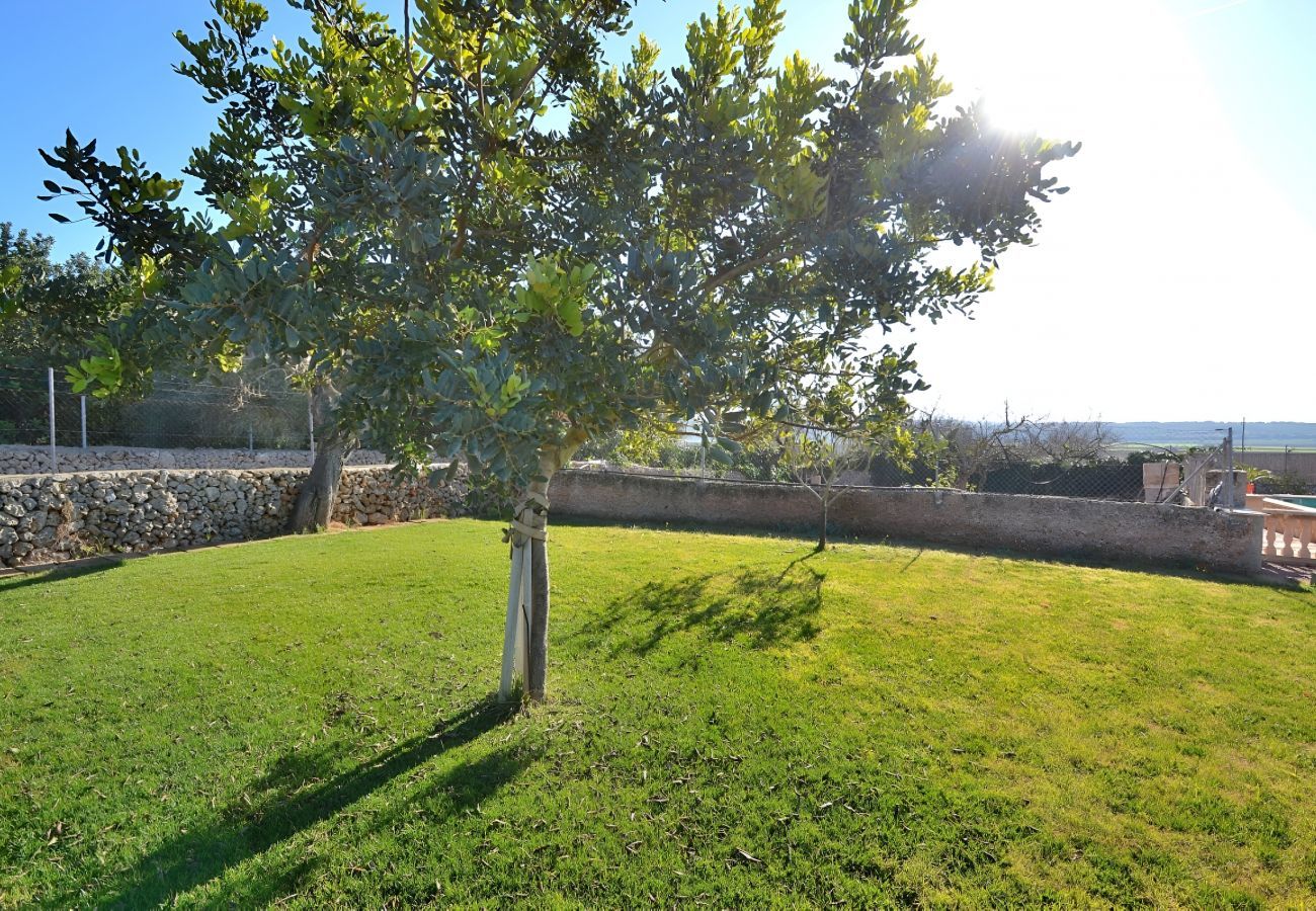 Country house in Ariany - 078 Finca Sa Rota VT/1953 by Mallorca Charme