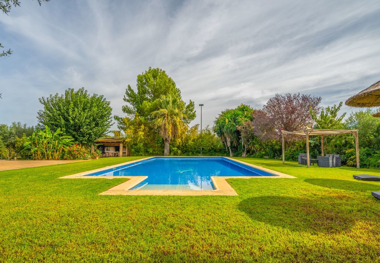 Villa in Buger - Dofi Blau, Villa 5StarsHome Mallorca