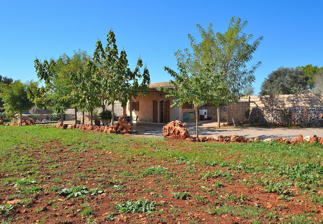 Country house in Muro - 225 Finca Sa Casita ETV/10575 by Mallorca Cha