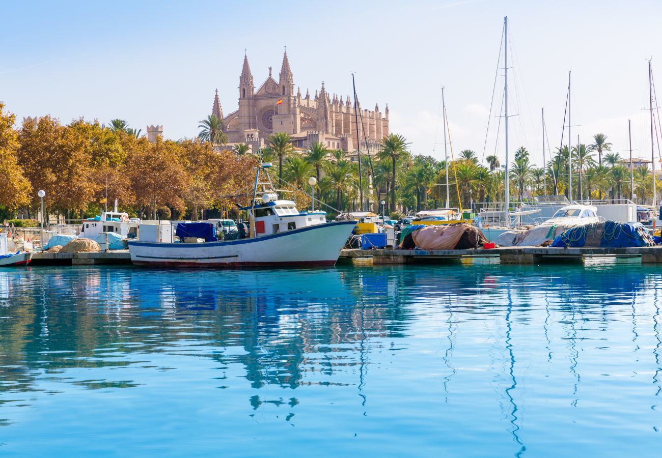 Country house in Campos - 405 Finca Sa Vinya VT 1711 by Mallorca Charme