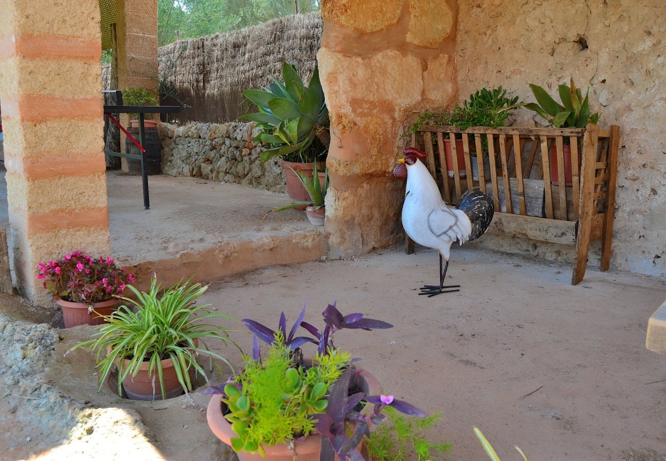 Cottage in Llubi - 005 Finca Can Cortana ETV/7345 by Mallorca Cha
