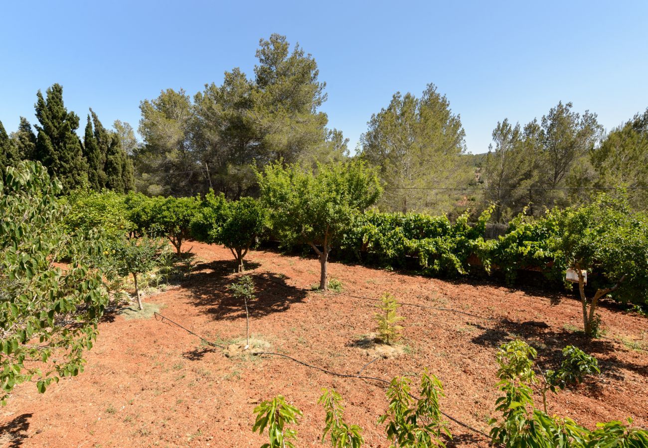 Cottage in San Rafael de Sa Creu/ Sant Rafael de Sa Creu - Can Safres Raco, Finca 5StarsHome Ibiza