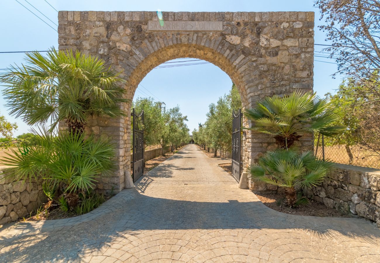 Country house in Arta - Buitre negro, Finca 5StarsHome Mallorca