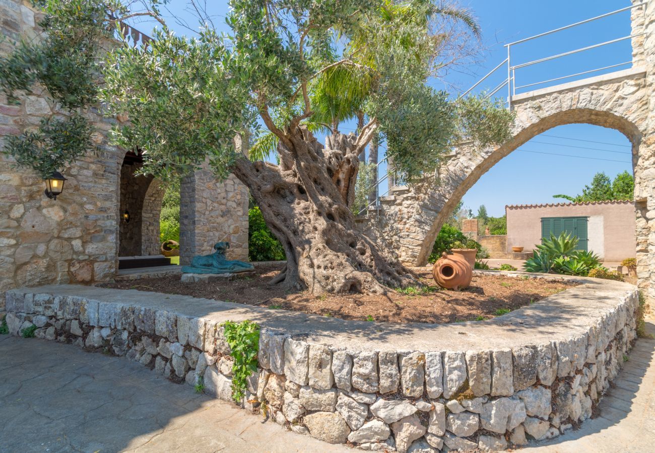 Country house in Arta - Buitre negro, Finca 5StarsHome Mallorca