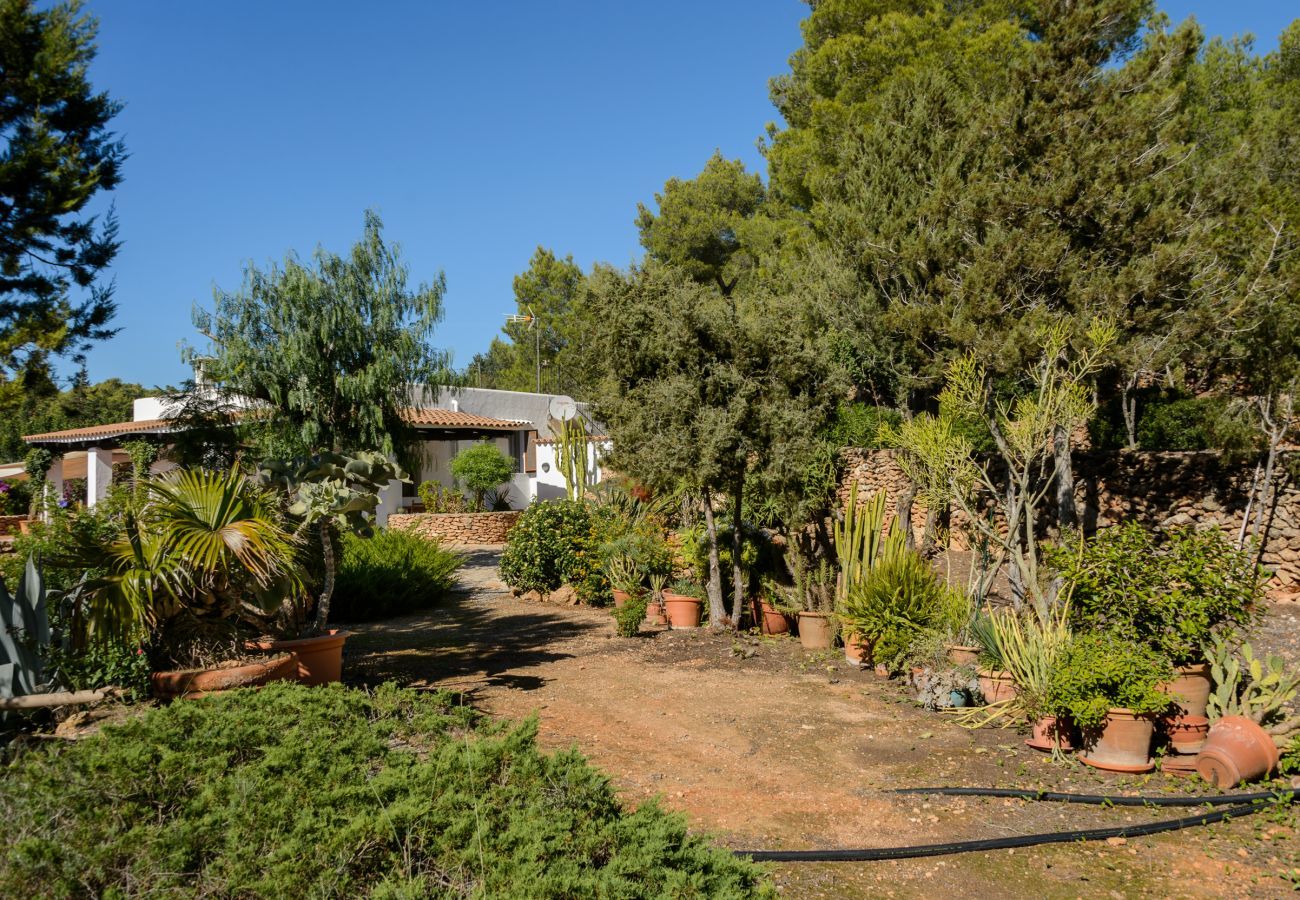 Cottage in San Carlos/ Sant Carles de Peralta - Can Patri, Finca 5StarsHome Ibiza