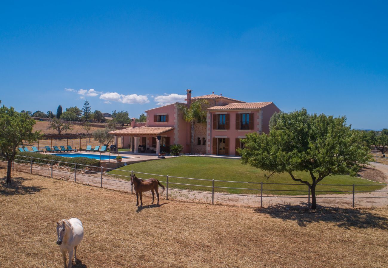 Cottage in Manacor - Rancho Son Gener, Finca 5StarsHome Mallorca