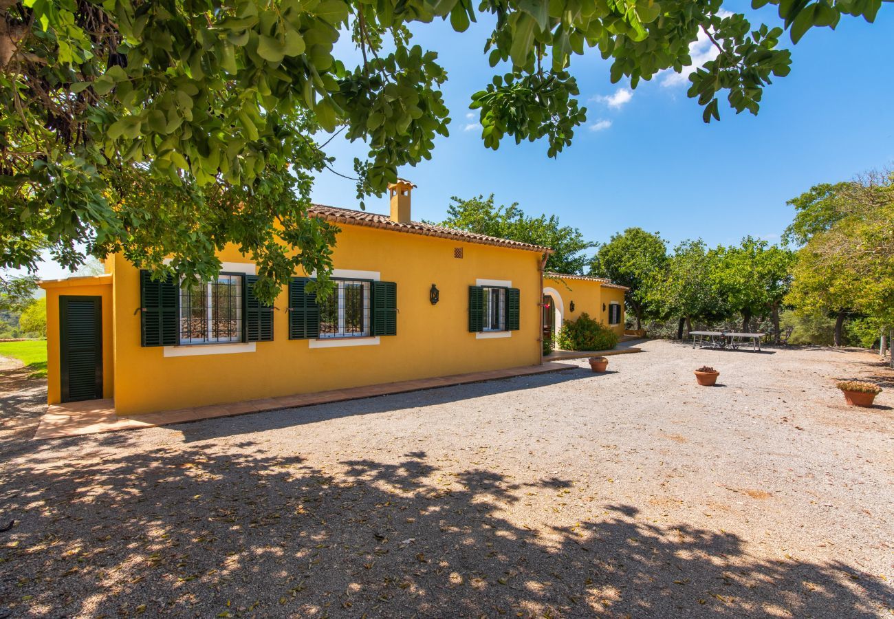 Cottage in Manacor - Sestador Blat, Finca 5StarsHome Mallorca