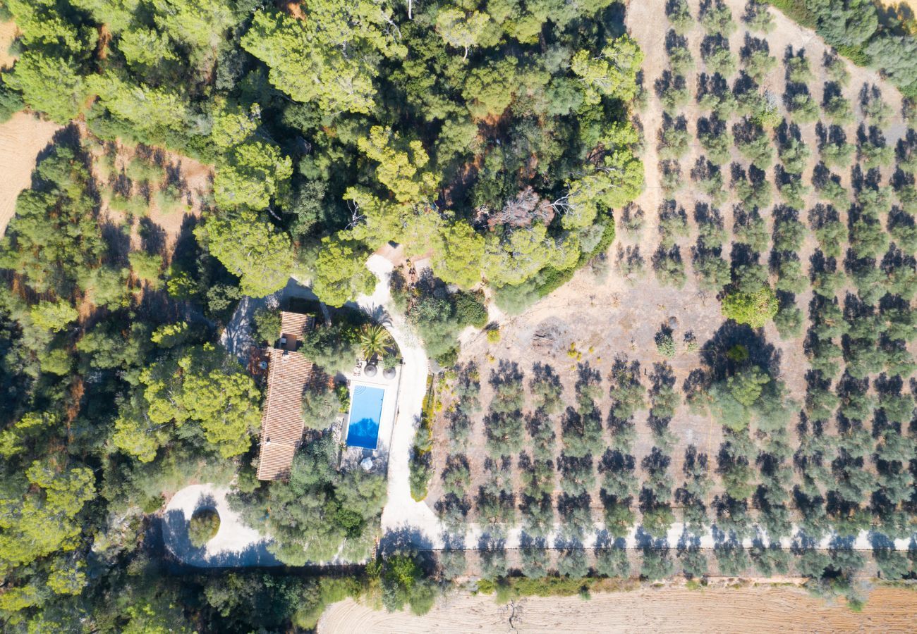 Cottage in Sineu - Sineu Fangar, Finca 5StarsHome Mallorca