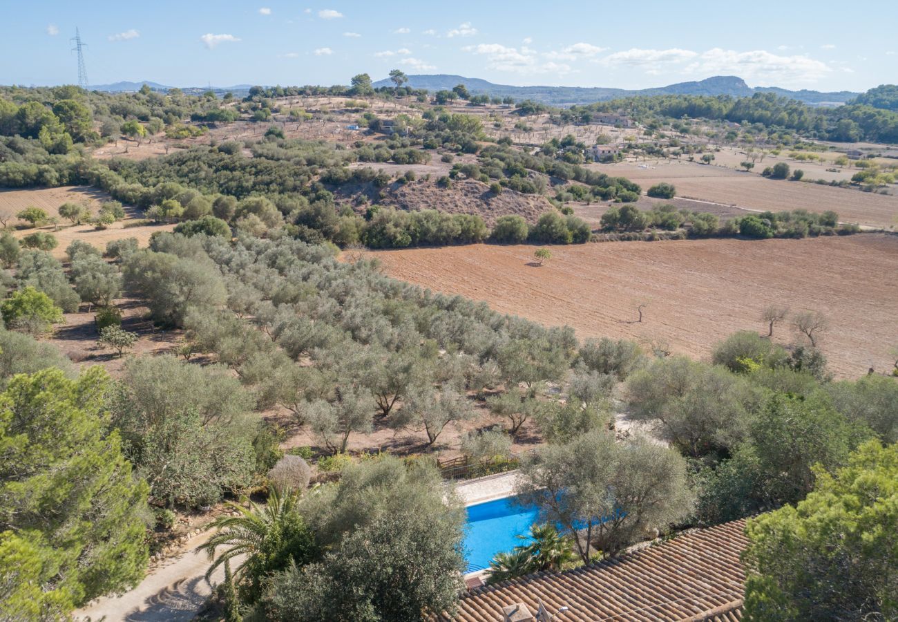 Cottage in Sineu - Sineu Fangar, Finca 5StarsHome Mallorca