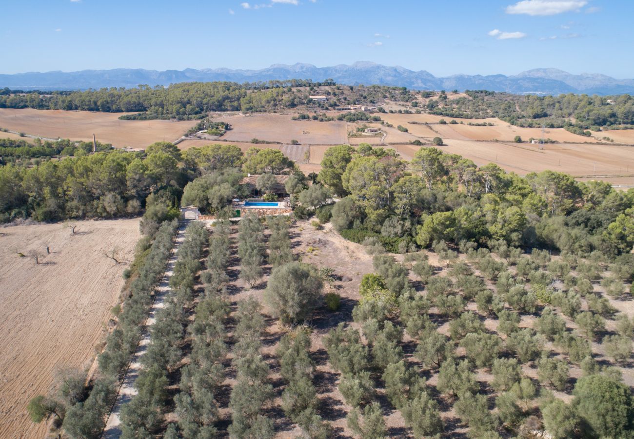 Cottage in Sineu - Sineu Fangar, Finca 5StarsHome Mallorca