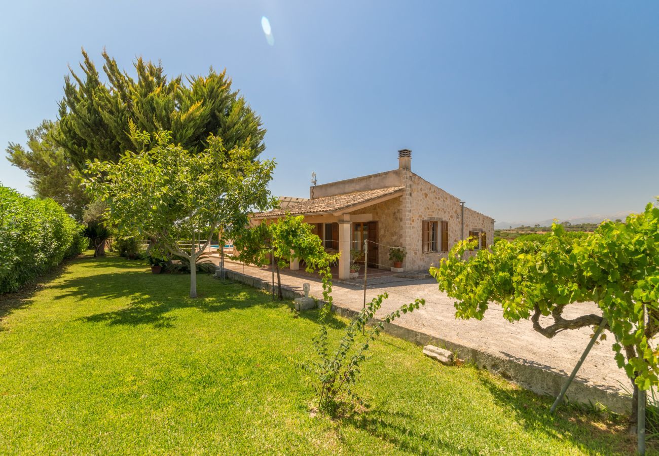 Cottage in Santa Margalida - Sa Cova Dor, Finca 5StarsHome Mallorca